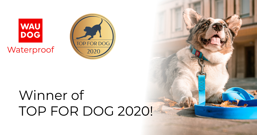 WAUDOG Waterproof — winner of TOP FOR DOG 2020!