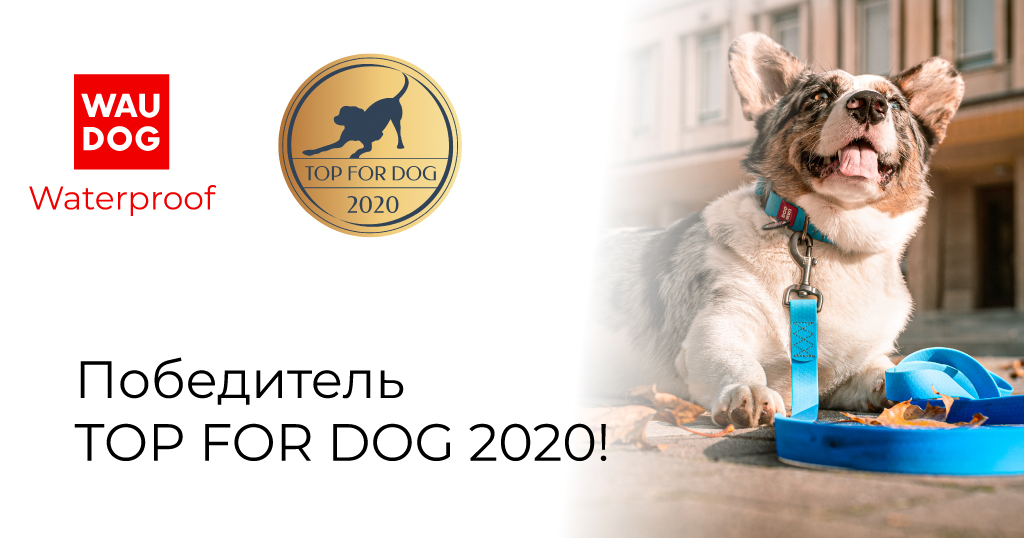 WAUDOG Waterproof — победитель TOP FOR DOG 2020!