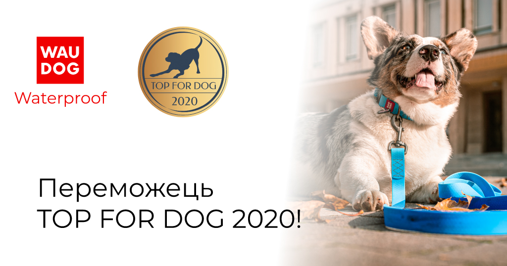 WAUDOG Waterproof — переможець TOP FOR DOG 2020!