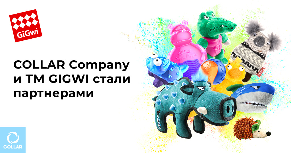 COLLAR Company и ТМ GIGWI стали партнерами