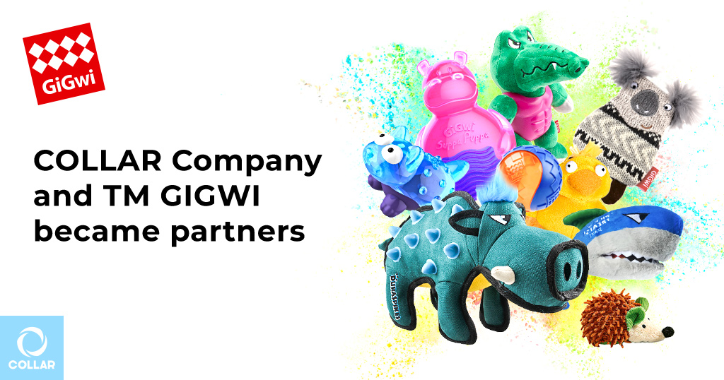 COLLAR Company and ТМ GIGWI became partners