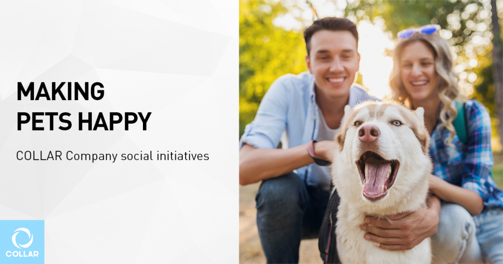 MAKING PETS HAPPY: COLLAR Company social initiatives