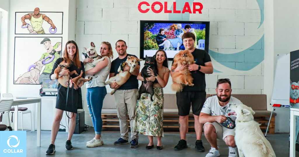 COLLAR Company celebrated Take Your Dog To Work Day