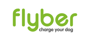 Flyber logo