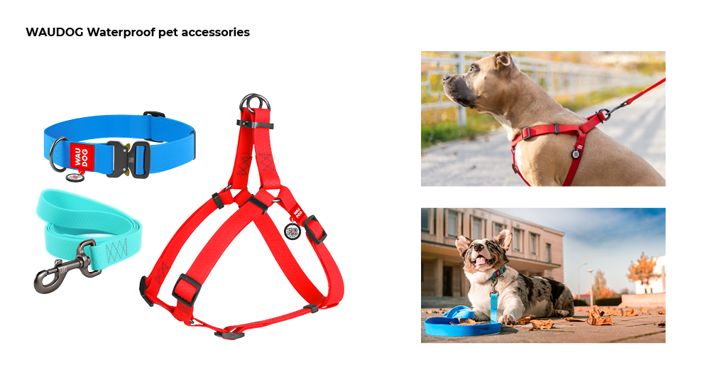 buy waterproof pet accessories for the summer WAUDOG