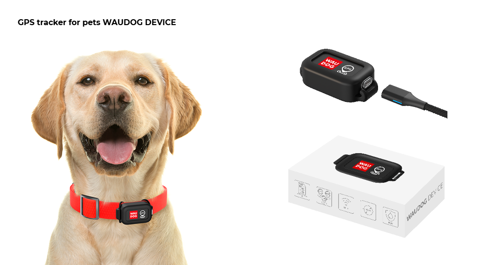 Buy WAUDOG GPS trackers for summer