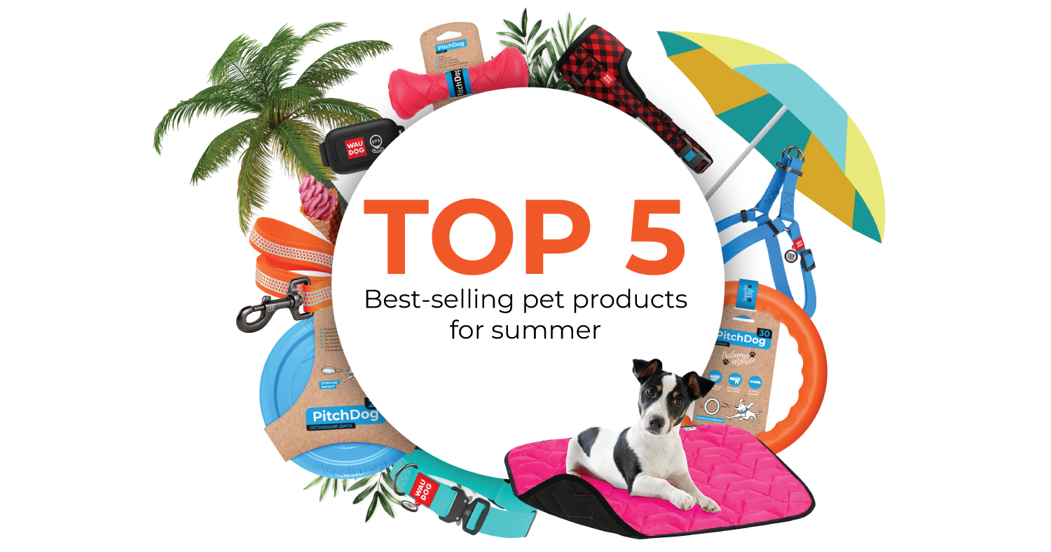 What to sell in the summer: TOP-5 popular summer pet products in a pet store during the hot season