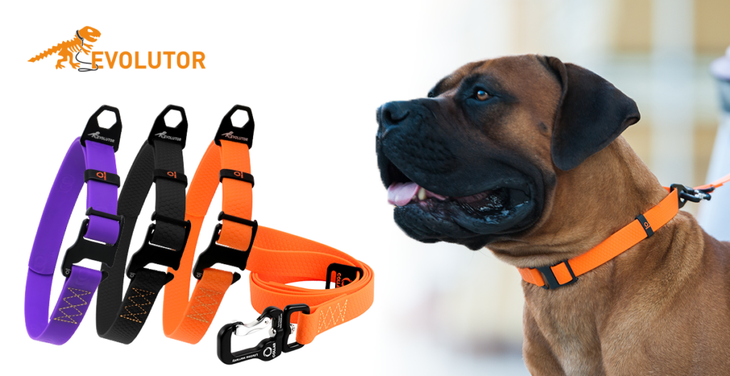 wholesale pet products with lifetime warranty buy EVOLUTOR COLLAR Company