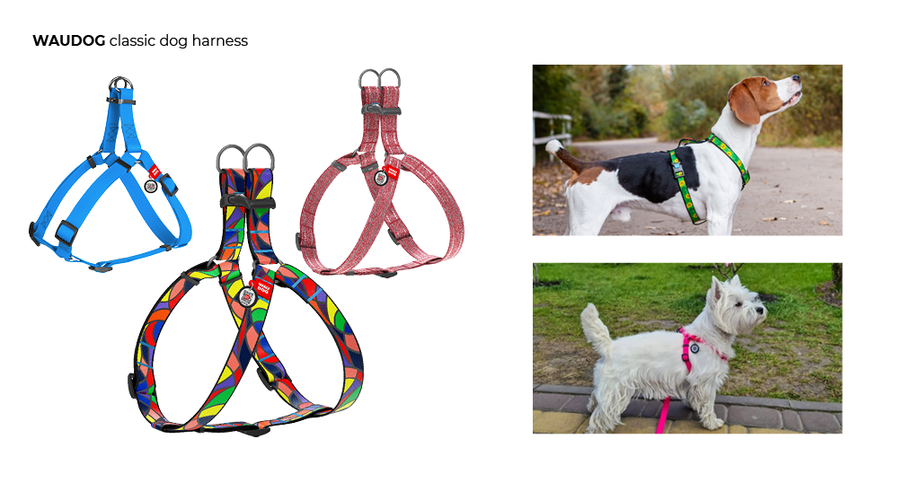 WAUDOG Classic types of harness for dog by COLLAR Company buy wholesale on collar.com
