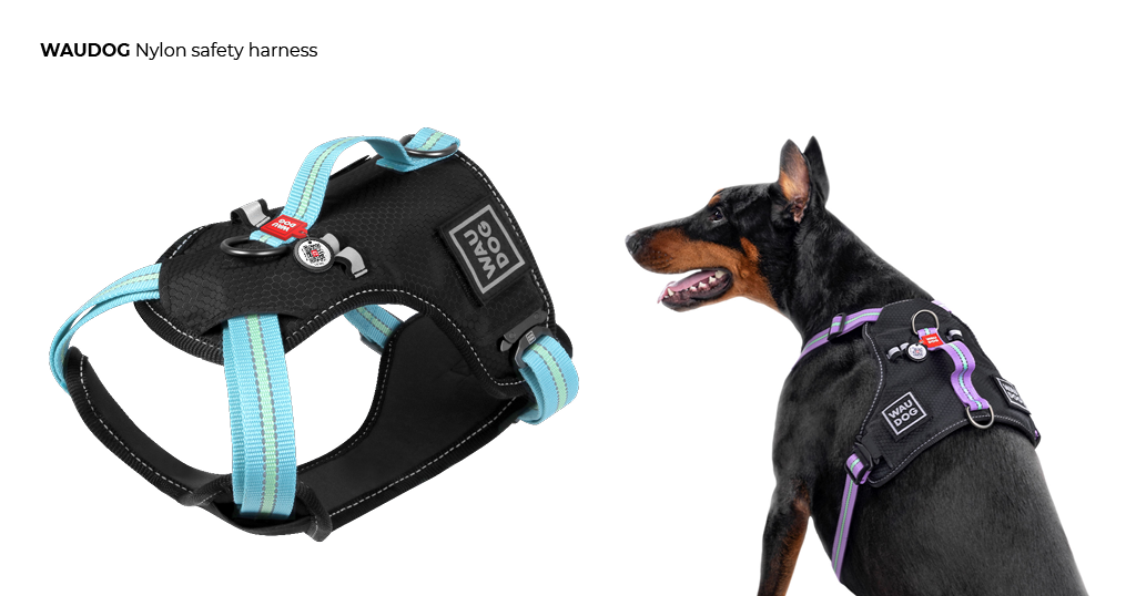 WAUDOG Nylon safety harness for dog buy  wholesale harness on collar.com and get to know how to distinguish WAUDOG harnesses
