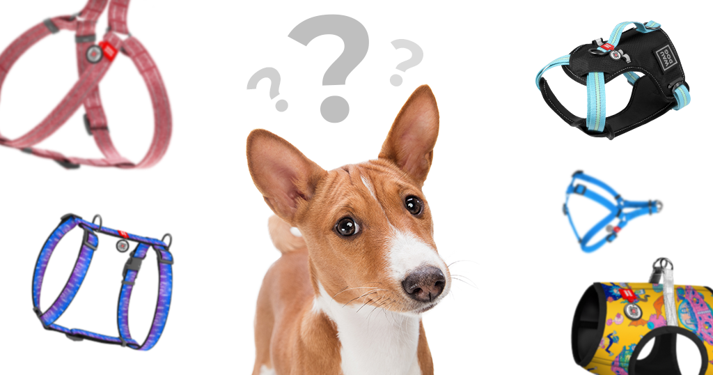 WAUDOG Harnesses:  what types of harness for dogs are better to order for pet store?