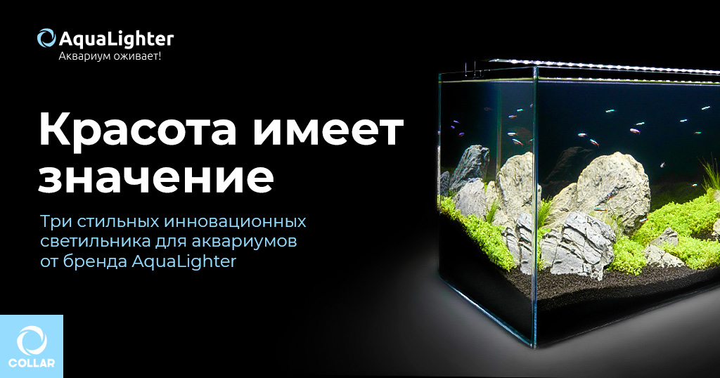 Красота имеет значение. 3 стильных инновационных светильника для аквариумов от бренда AquaLighter