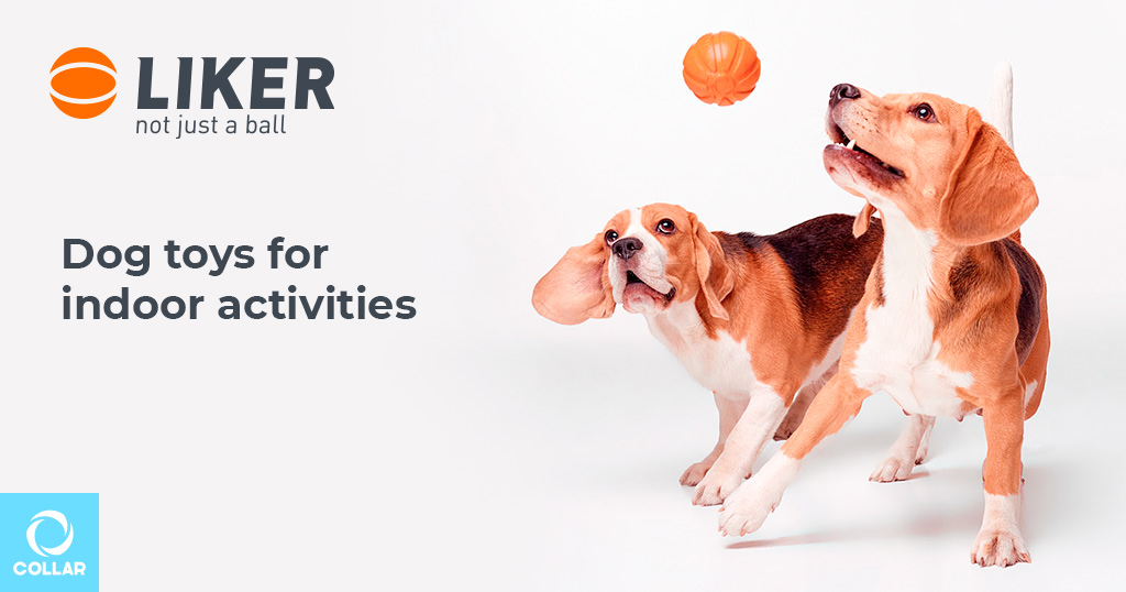 LIKER Ball: 5 dog toys for indoor activities