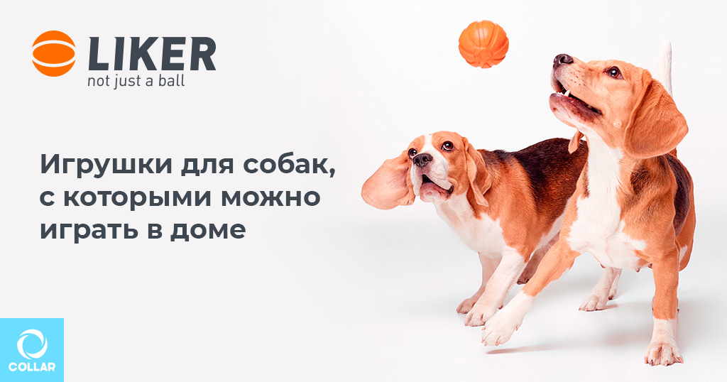 Игрушки для собак с которыми можно играть в доме – мяч LIKER