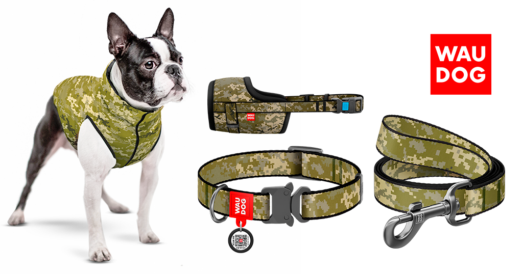 Military Collection to show contribution of dogs to the common victory of Ukraine