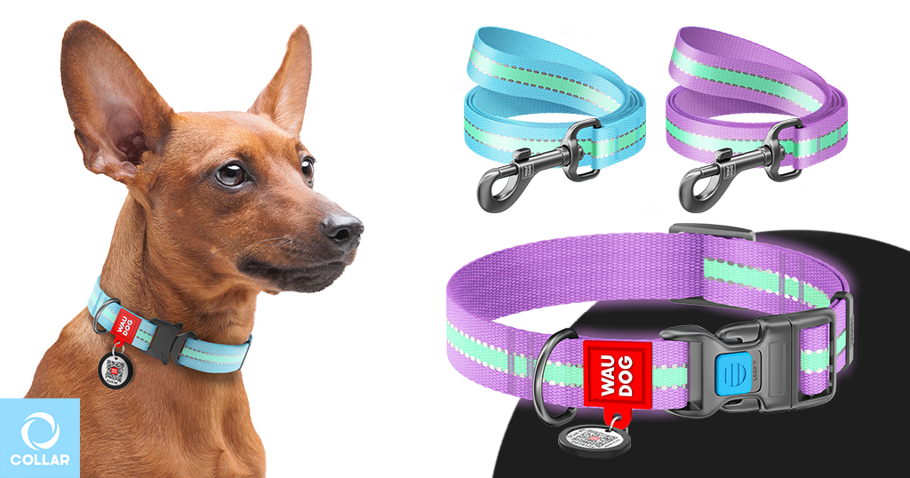 WAUDOG Nylon reflective accessories, WAUDOG Nylon, WAUDOG, dog collar, reflective pet accessories, glowing dog collar, nylon collar, durable nylon collar, pet accessories.
