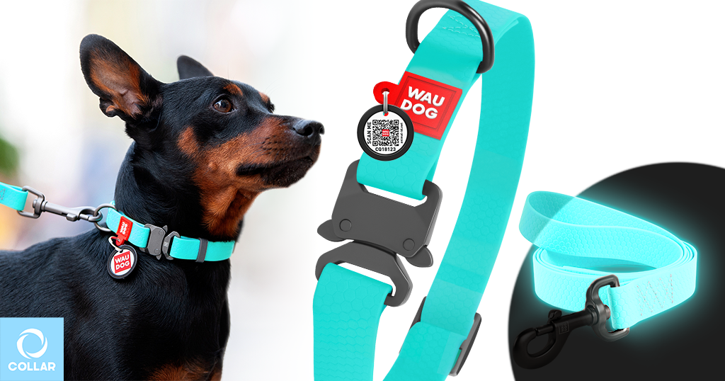 WAUDOG Waterproof light-accumulating pet accessories, WAUDOG waterproof, WAUDOG, waterproof collar, collar for huge dogs, light-accumulating pet accessories, glowing dog collar, mint collar.