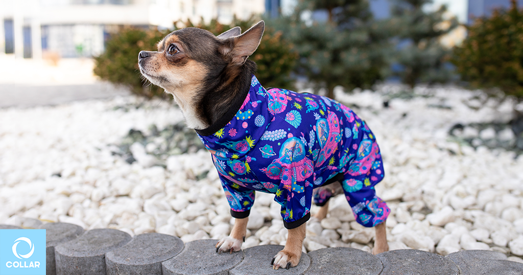 Spring clothing for dogs, WAUDOG Clothes windbreakers, wholesale dog apparel.