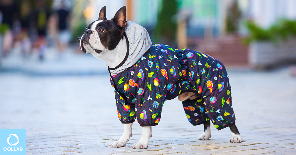 Spring clothing for dogs, WAUDOG Clothes overalls, wholesale dog apparel.