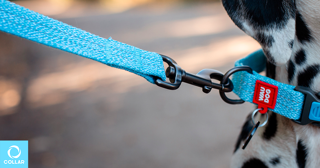 Eco-trendy WAUDOG Re-cotton leash made from recycled cotton.
