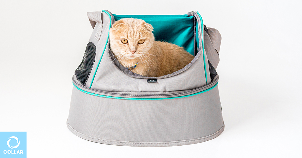 COLLAR cat carrier, wholesale cat houses and beds.