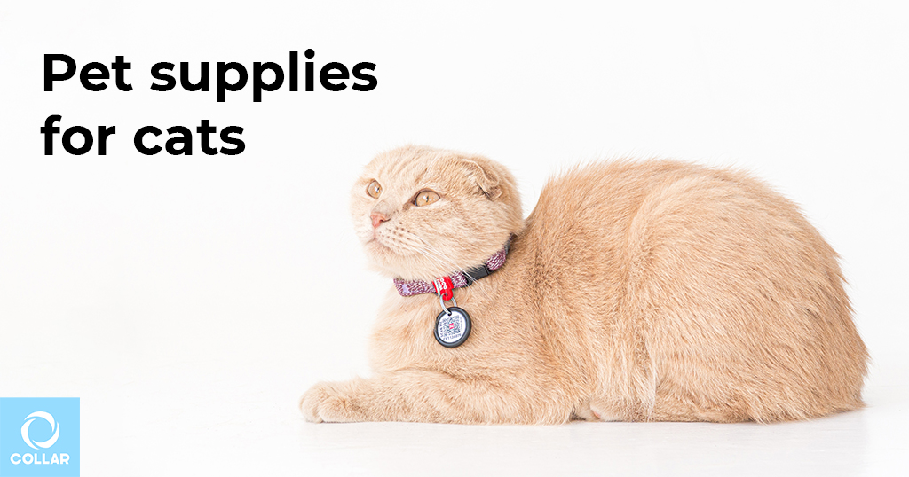 Which cat supplies are better for pet shop