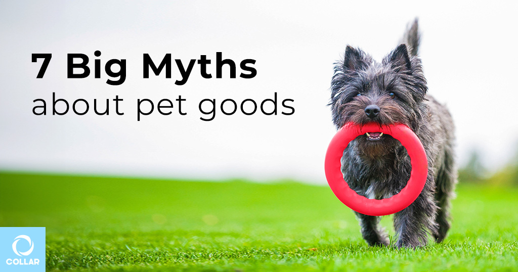 TOP 7 myths about pet products every pet store owner should know