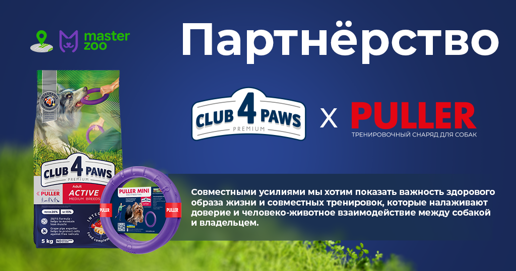 Четырехлапый активный образ жизни: как украинские бренды товаров для животных создали продукт для энергичных собак