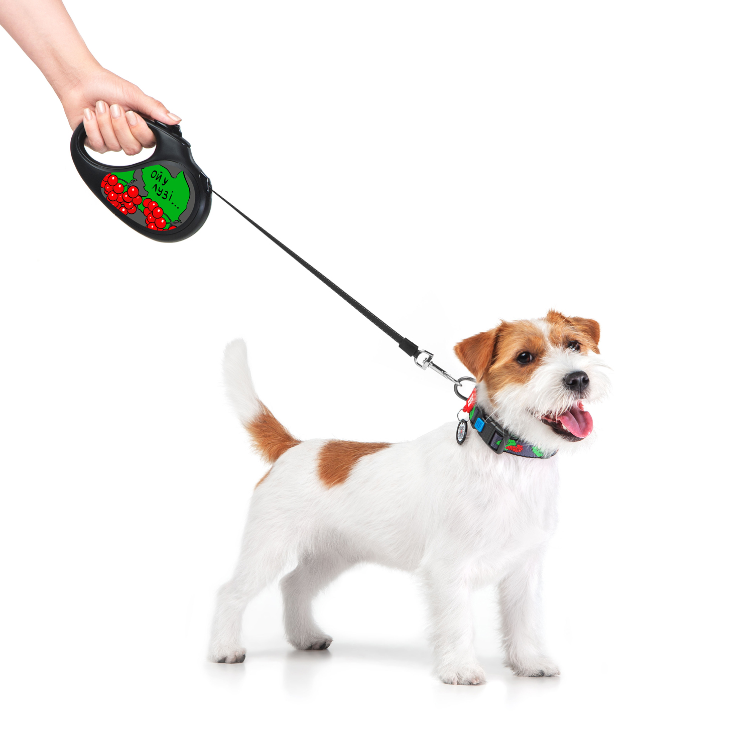 WAUDOG R-leash retractable leash