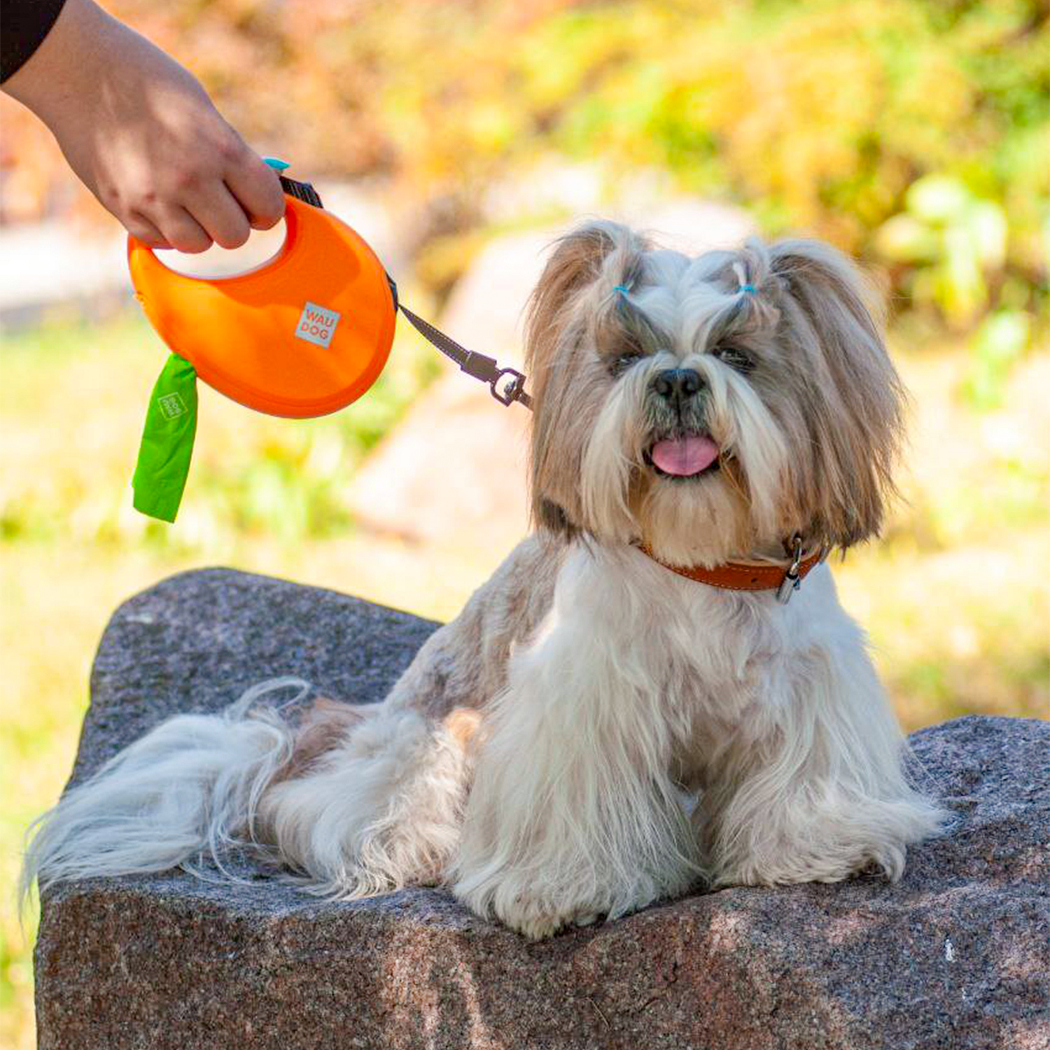 WAUDOG R-leash with container for waste bags