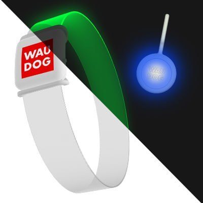 WAUDOG LED